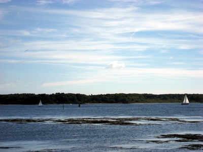 Dive > 2006 > 012 013 20060904 Picnic