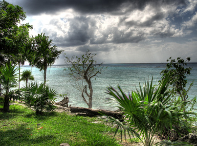 Dive > 2007 > 20071028 CozumelMon