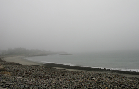 Dive > 2008 > 054 055 20080628 PebbleBeach