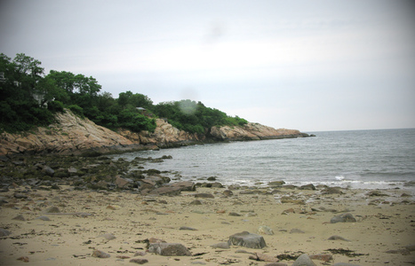 Dive > 2008 > 056 057 20080704 FollyCove