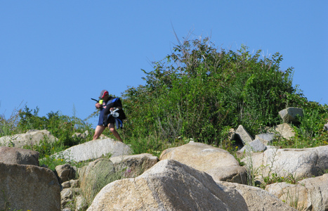 Dive > 2008 > 063 064 20080817 CatheralWalls