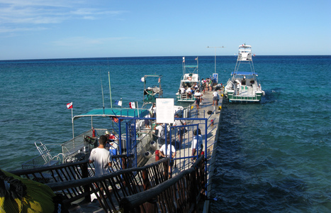 Dive > 2008 > 073 074 20081104 CozumelTue