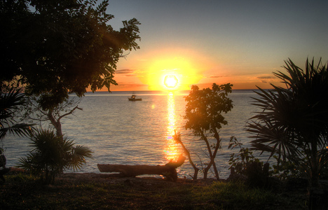 Dive > 2008 > 077 077 20081105 CozumelWedNight