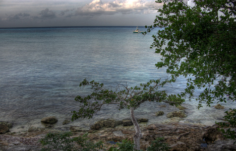 Dive > 2008 > 078 079 20081106 CozumelThu