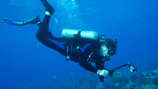 Dive > 2014 > 382 384 20140126 CaymanKeyButterflyReefElkHorn