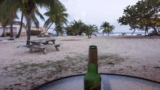 Dive > 2014 > 398 399 20140131 SchoolhouseChuteSnapperReef