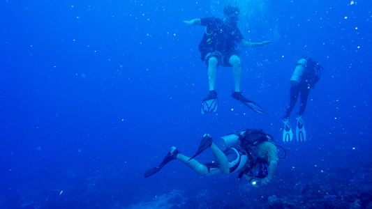 Dive > 2014 > 418 419 20140502 CozFriPalancaBrickPalancaReef