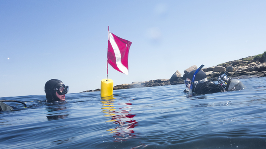 Dive > 2014 > 424 425 20140608 LaneCove