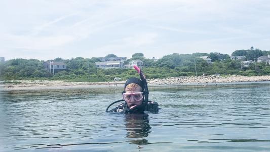 Dive > 2014 > 428 428 20140629 Loblolly