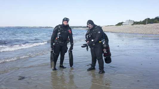 Dive > 2014 > 438 438 20140817 Pebble