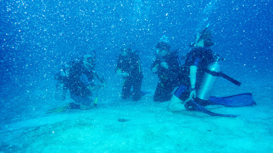 Dive > 2015 > 471 475 20150108 MikeBallSat