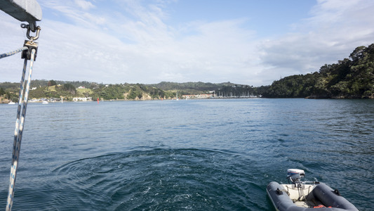 Dive > 2015 > 493 495 20150120 PoorNightsTue