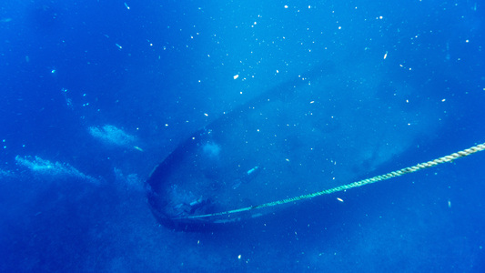 Dive > 2015 > 544 545 20150710 KLFriDuanceMolasses