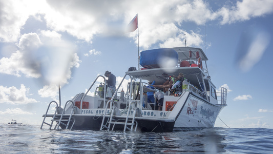 Dive > 2015 > 549 550 20150713 KLMonMolasses