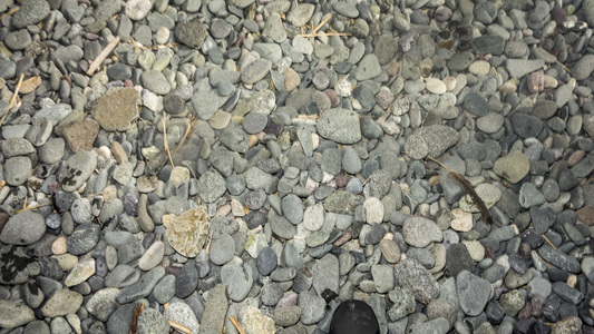 Dive > 2015 > 553 554 20150726 ChimneyNahant