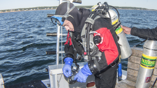 Dive > 2015 > 563 564 20150906 PollingPolling