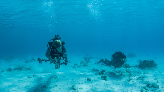 Dive > 2015 > 571 572 20151019 BonMonWonderlandWhiteSlave