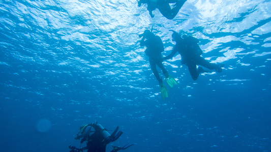 Dive > 2015 > 581 582 20151022 BonThuKlein