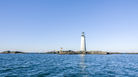 Dive > 2015 > 585 586 20151205 Scallop