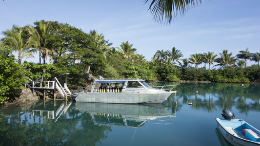 Dive > 2015 > 504 505 20150126 FijiMon