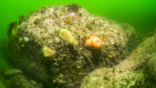 Dive > 2015 > 519 519 20150509 Cathedral