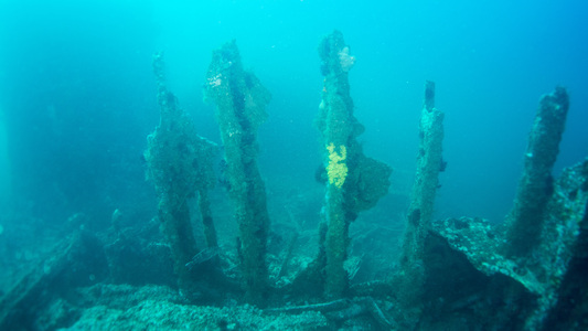 Dive > 2015 > 528 529 20150525 NCMonCaribSea