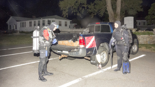 Dive > 2015 > 530 530 20150611 NightBackBeach