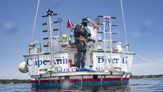 Dive > 2015 > 534 535 20150625 PicketPadded