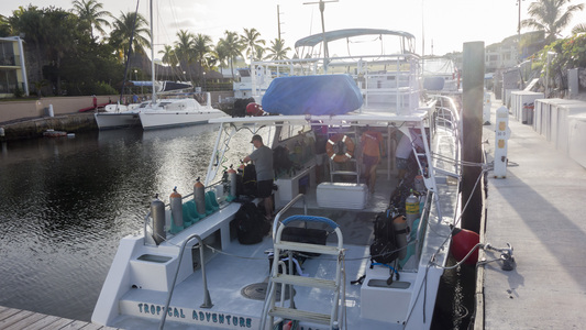 Dive > 2015 > 538 538 20150707 KLTueNight