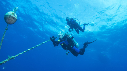 Dive > 2015 > 539 540 20150708 KLWedBibbDuane