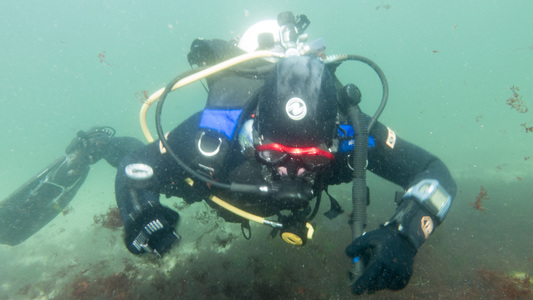 Dive > 2016 > 590 590 20160424 PebbleBeach