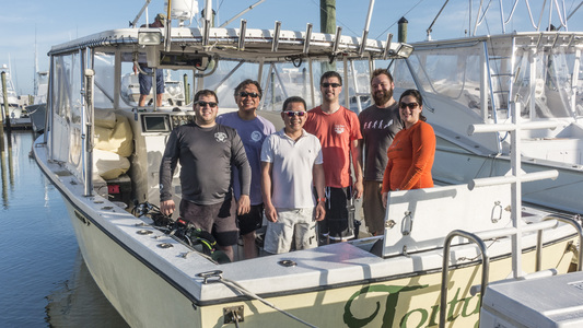 Dive > 2016 > 592 593 20160528 NCSatCaribSeax2