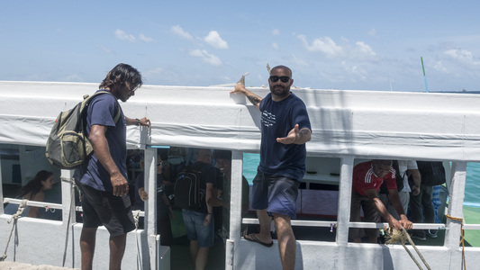 Dive > 2016 > 608 610 20160912 MVSunShark