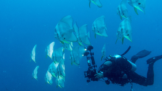 Dive > 2016 > 616 619 20160914 MVWedNight