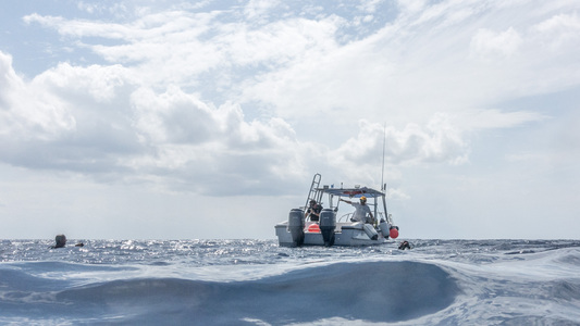 Dive > 2016 > 627 628 20161025 CZMTueSantaRosaTunich