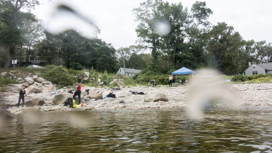 Dive > 2017 > 643 644 20170722 FollyFishcount