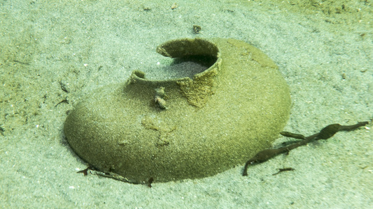 Dive > 2017 > 640 640 20170709 OldGarden