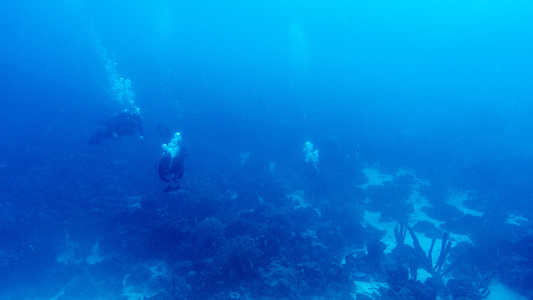 Dive > 2017 > 656 658 20171017 BonTue AnglecityHookerKeepsafe