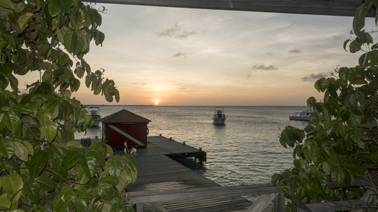 Dive > 2017 > 659 670 20171018 BonWedKarpata!000AndreaSampler