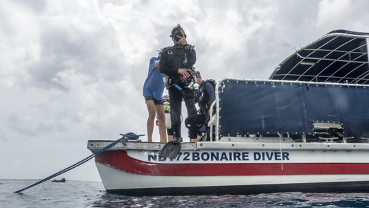 Dive > 2017 > 671 672 20171019 BonThu1000WonderlandHouse