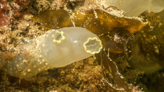 Dive > 2017 > 636 636 20170430 DogBar