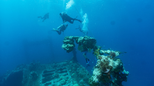 Dive > 2019 > 686 686 20190208 TrukFri Fijisawa