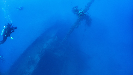 Dive > 2019 > 693 693 20190211 TrukNippoMaru