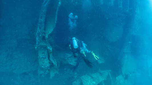 Dive > 2019 > 690 690 20190210 TrukHaian