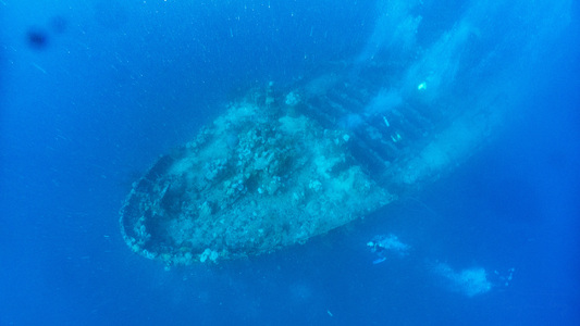 Dive > 2019 > 690 690 20190210 TrukSeiko