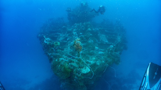 Dive > 2019 > 691 691 20190210 TrukUnkaiMaru