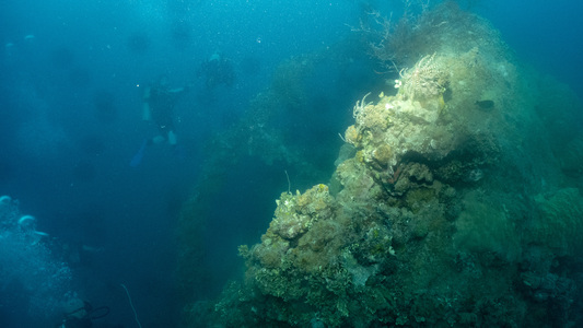 Dive > 2019 > 692 692 20190210 TrukFutagami