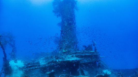 Dive > 2019 > 697 697 20190212 TrukShotanMaru