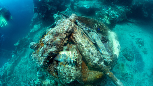 Dive > 2019 > 695 695 20190211 TrukSankisan