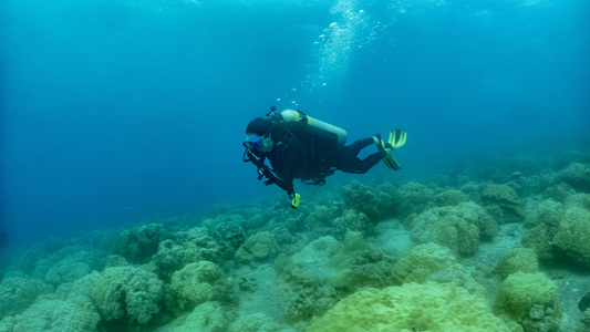 Dive > 2019 > 696 696 20190211 TrukHoyoMaru